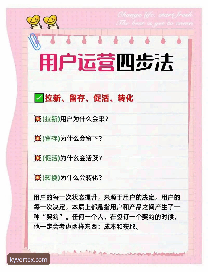 从新手到老用户:我的KY体育下载地址使用心得与实战经验