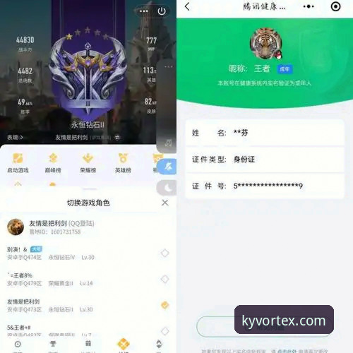 老用户实测分享:KY体育官方认证平台的使用心得与实战经验